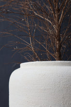 Load image into Gallery viewer, Cassian Clay Vase