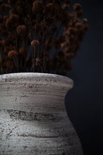 Load image into Gallery viewer, Lucian Jar