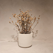 Load image into Gallery viewer, Dorothy Vase Short