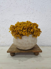 Load image into Gallery viewer, Lyca Vase