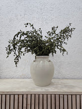 Load image into Gallery viewer, Lilian Vase
