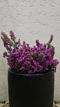 Load image into Gallery viewer, Statice Flowers - Violet