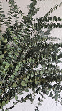 Load image into Gallery viewer, Fresh Eucalyptus