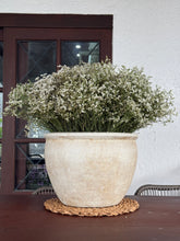 Load image into Gallery viewer, Walter Planter in Beige