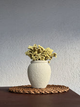 Load image into Gallery viewer, Vase and Flower Set