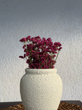 Load image into Gallery viewer, Vase and Flower Set