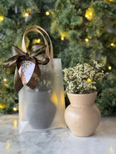 Load image into Gallery viewer, Levy Vase Set