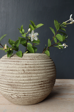 Load image into Gallery viewer, Etta Vase