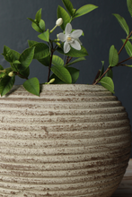 Load image into Gallery viewer, Etta Vase