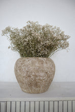 Load image into Gallery viewer, Gypsophilia Flowers