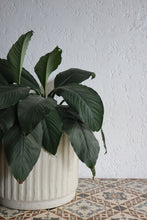 Load image into Gallery viewer, Vertida Planter