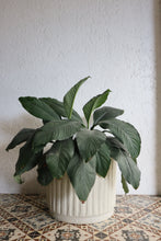 Load image into Gallery viewer, Vertida Planter
