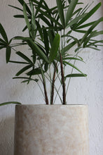 Load image into Gallery viewer, Velma Planter