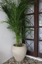 Load image into Gallery viewer, Sally Planter