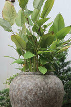 Load image into Gallery viewer, Opal Planter