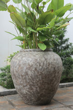 Load image into Gallery viewer, Opal Planter