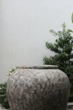Load image into Gallery viewer, Opal Planter