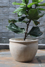 Load image into Gallery viewer, Walter Planter in Beige