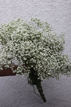 Load image into Gallery viewer, Gypsophilia Flowers
