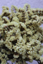 Load image into Gallery viewer, Statice Flowers - Yellow