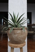 Load image into Gallery viewer, Walter Planter in Brown