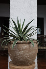 Load image into Gallery viewer, Walter Planter in Brown