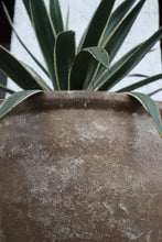 Load image into Gallery viewer, Walter Planter in Brown