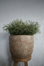 Load image into Gallery viewer, Everleigh Planter