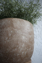 Load image into Gallery viewer, Everleigh Planter