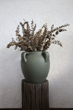 Load image into Gallery viewer, Celestine in Olive