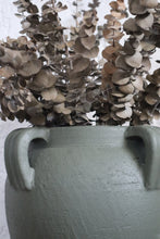 Load image into Gallery viewer, Celestine in Olive