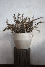 Load image into Gallery viewer, Clyde