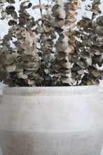 Load image into Gallery viewer, Clyde