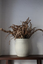 Load image into Gallery viewer, Everna Jar