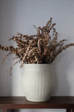 Load image into Gallery viewer, Everna Jar