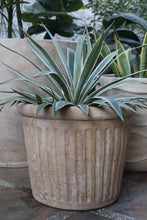 Load image into Gallery viewer, Orla Planter (Small, Medium, Large)