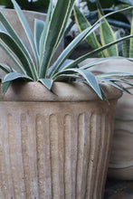 Load image into Gallery viewer, Orla Planter (Small, Medium, Large)