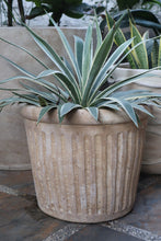 Load image into Gallery viewer, Orla Planter (Small, Medium, Large)