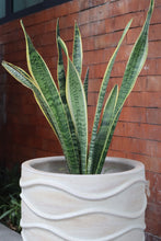 Load image into Gallery viewer, Marias Planter