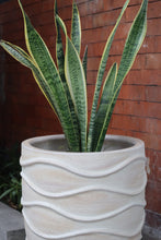 Load image into Gallery viewer, Marias Planter