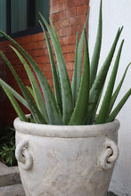 Load image into Gallery viewer, Bastion Planter in Beige