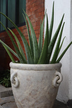 Load image into Gallery viewer, Bastion Planter in Beige