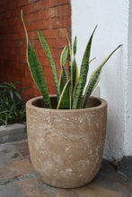 Load image into Gallery viewer, Lira Planter
