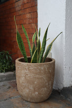 Load image into Gallery viewer, Lira Planter