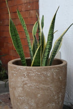 Load image into Gallery viewer, Lira Planter