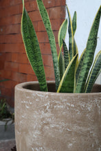 Load image into Gallery viewer, Lira Planter