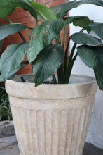 Load image into Gallery viewer, Orla Planter (Small, Medium, Large)