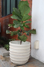 Load image into Gallery viewer, Tallis Planter