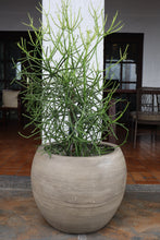 Load image into Gallery viewer, Sorrel Planter in Vintage