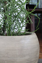 Load image into Gallery viewer, Sorrel Planter in Vintage